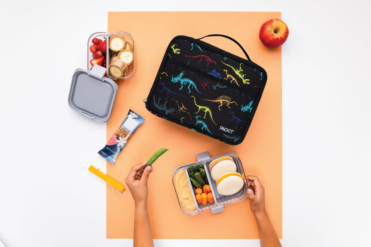 freezable-lunch-box-limited-edition-w3 2022_Lifestyle_Lunch-Box_Dino_Fossils_Hires.jpg